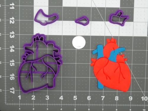 Heart Anatomical Structure 266-D277 Cookie Cutter Set 4 inch