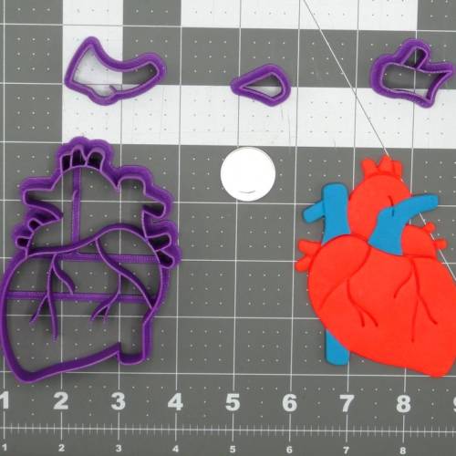 Heart Anatomical Structure 266-D277 Cookie Cutter Set 4 inch